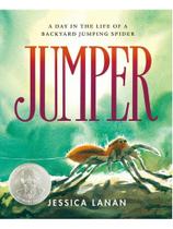 Jumper - a day in the life of a backyard jumping spider Jumper - a day in the life of a backyard jumping spider