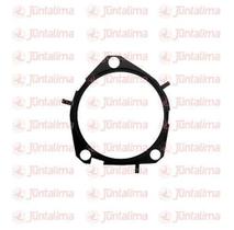 Junta Bamba Dagua Toro Renegade 2.0 16V Diesel 40620