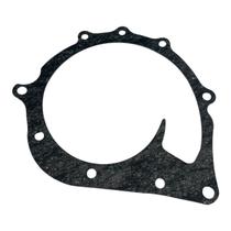 Junta Bomba Dagua 124p,G,R 440 Ntg Pettenuzzo 1778922