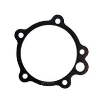 Junta Comando Valvulas Traseira Para Iveco Stralis - 99448739