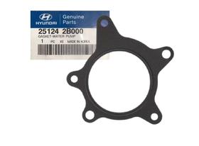 Junta Da Bomba D'água Creta 1.6 2017/2024 compatível