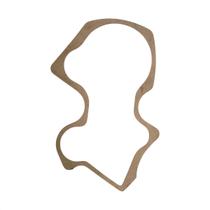 Junta da Caixa de Transmissão Lavadora Mueller 1029005