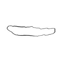 Junta Tampa Valvula Motor Para Iveco Tector - 4899231