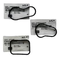 Juntas Carcaça Válvula Termostática Hyundai Santa Fé 3.5 kit