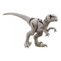 Jurassic world atrociraptor 30cm básico - mattel gwt58/gwt54