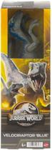 Jurassic World Dinossauro Velociraptor Blue com 30 cm de Comprimento