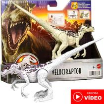 Jurassic World Mini Boneco Dinossauro Velociraptor Legacy Collection - Mattel HFF19