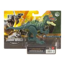 Jurassic World Pacote de Perigo Sortimento Jurassic World Pacote de Perigo Sortimento