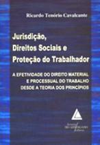 Jurisdição, direitos sociais e proteção do trabalhador: A efetividade do direito material e processual do trabalho desde a teoria dos princípios Jurisdição, direitos sociais e proteção do trabalhador: A efetividade do direito material e processual do trabalho desde a teoria dos princípios