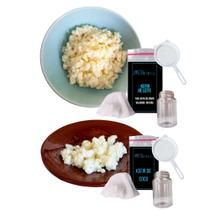 Kefir Desidratado de Leite Com Manual Ganhe Kefir de Coco Com Tampa Voal Frasco 500 Mls e Peneira