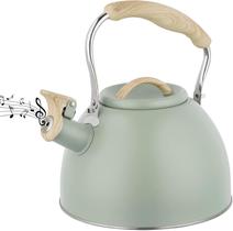 Kettle Whistling 3L de aço inoxidável para fogão verde