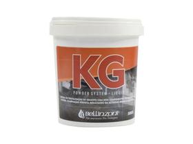 KG Powder System Bellínzoní - BELLINZONI