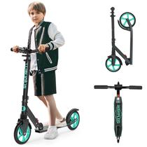Kick Scooter WAYPLUS Aquas Dobrável com Rodas de 20 cm Ajustáveis