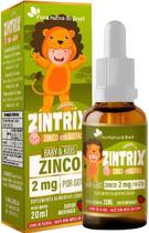 Kids - Zintrix (Zinco 2mg/Gota) Sabor Morango 20ml - Novo Kids - Zintrix (Zinco 2mg/Gota) Sabor Morango 20ml - Novo