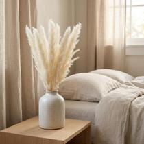 Kit 01 com 7 Unidades Hastes Capim Dos Pampas Colorido 30cm Seco Cor Natural Com Mini Capim Pampa Decoração