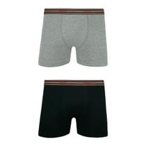 Kit 02 Cueca Boxer em Algodão com Cós Elástico Lupo 523-088