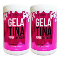 Kit 02 Gelatinas Capilar Hidralize - 1 kg Kit 02 Gelatinas Capilar Hidralize - 1 kg