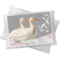 Kit 02 Travesseiro 100% Pluma De Ganso Antialérgico 70x50 cm
