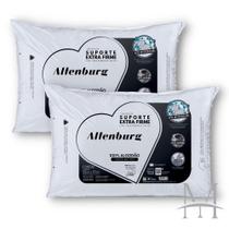 Kit 02 Travesseiros Altenburg Extra Firme 50X70Cm 180 Fios