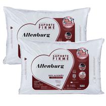 Kit 02 Travesseiros Altenburg Suporte Firme 0,50x0,70m Algodão 180 Fios