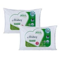 Kit 02 Travesseiros Altenburg Suporte Médio 0,50x0,70m Algodão 180 Fios