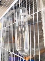 Kit 03 Bebedouros de vidro higiênico com bocal reforçado para calopsita e periquito