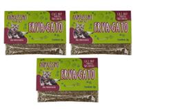 Kit 03 Cat Nip Erva Do Gato Sachê 2 G Natural Pet Premium Care