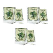 Kit 03 Chá de Melissa Com 10 Sachês 13g - Chamel Kit 03 Chá de Melissa Com 10 Sachês 13g - Chamel