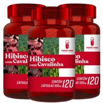 KIT 03 Hibisco Com Cavalinha 120 Capsulas 500mg Fonte Vida