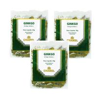 Kit 03 Pacote de Chá de Ginkgo Biloba 30g - Chamel Kit 03 Pacote de Chá de Ginkgo Biloba 30g - Chamel