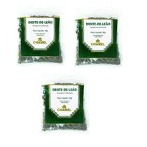 Kit 03 Pacote de Chá Dente De Leão 30g - Chamel