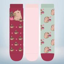 Kit 03 Pares Meias Capivara Café Soquete Adulto Feminina - Tamanho 34 a 39 Kit 03 Pares Meias Capivara Café Soquete Adulto Feminina - Tamanho 34 a 39