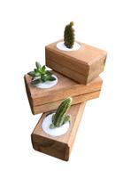 Kit 03 porta vasinhos de cactus e suculentas em madeira de demolição