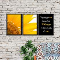 Kit 03 Quadros Decorativos "Motivação" 43x33 Cm Cada - D'Rossi Kit 03 Quadros Decorativos "Motivação" 43x33 Cm Cada - D'Rossi