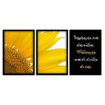 Kit 03 Quadross "Motivação" 43X33X1Cm