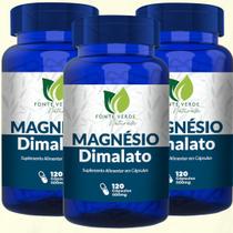 KIT 03 Suplemento de Magnésio Dimalato 500MG 120 Capsulas Fonte Verde