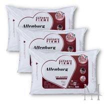 Kit 03 Travesseiros Altenburg Suporte Firme 0,50X0,70M 180Fi