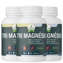 Kit 03 Tri Magnésio 3 em 1 Malato, Quelato e Cloreto de Magnésio / 60 Cápsulas 500mg
