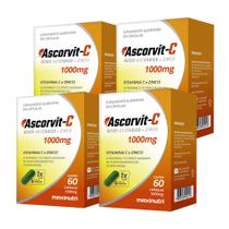 Kit 04 AscorVit Vitamina C + Zinco 60 Cápsulas Maxinutri
