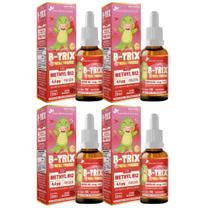 Kit 04 B-TRIX Vitamina B12 Kids em Gotas 20ml Flora Nativa do Brasil Kit 04 B-TRIX Vitamina B12 Kids em Gotas 20ml Flora Nativa do Brasil