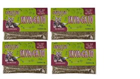 Kit 04 Cat Nip Erva Do Gato Sachê 2 G Natural Pet Premium Care
