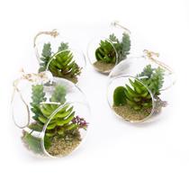 Kit 04 Flor Suculentas com Vaso para Pendurar Suspenso 11 cm F04 F04 - D'Rossi Kit 04 Flor Suculentas com Vaso para Pendurar Suspenso 11 cm F04 F04 - D'Rossi