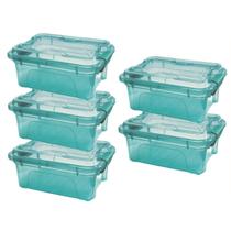 Kit 05 Caixa Organizadora Multiuso 3 Litros com Travas Usual Kit 05 Caixa Organizadora Multiuso 3 Litros com Travas Usual