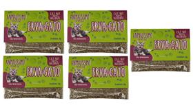Kit 05 Cat Nip Erva Do Gato Sachê 2 G Natural Pet Premium Care