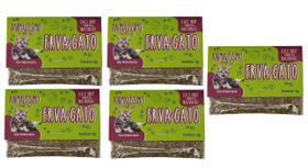 Kit 05 Cat Nip Erva Do Gato Sachê 2 G Natural Pet Premium Care