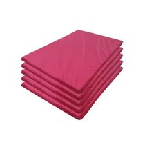 Kit 05 Colchonetes Academia Tapete Yoga Colchão Abdominal Espuma Top