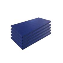 Kit 05 Colchonetes Academia Tapete Yoga Colchão Abdominal Espuma Top