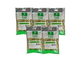 Kit 05un chá nutri ervas espinheira santa maytenus 50g