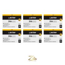 Kit 06 Lavitan ZMA Performance 30 Comprimidos - Cimed