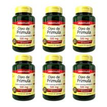Kit 06 Óleo De Prímula 60 Cápsulas 500mg - Maxinutri Kit 06 Óleo De Prímula 60 Cápsulas 500mg - Maxinutri